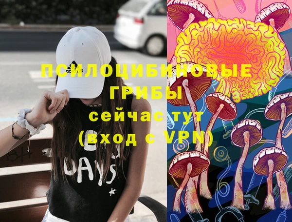 мяу мяу мука Балабаново