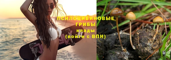 амфетамин Белокуриха