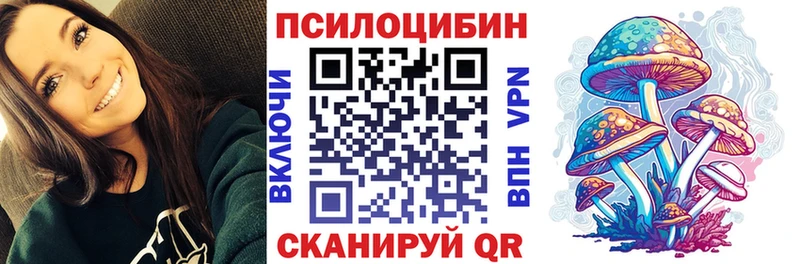 darknet клад  Ессентуки  Галлюциногенные грибы мицелий 