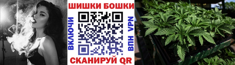 Шишки марихуана VHQ  где можно купить наркотик  мориарти наркотические препараты  Ессентуки 